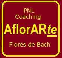 aflorarte-archivo